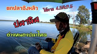 #ตกปลาชิงหลิว #หลิวไม้ตาย 4.5กับ3.6 หมายธรรมชาติ  อ่างเก็บน้ำหนองปลาไหล กินดีจริงๆ ปลานิลล้วนๆ