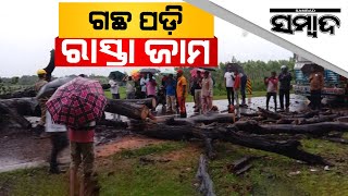 News Update: Uprooted Trees Block Road In Malkangiri | Sambad