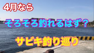 そろそろ釣れる？サビキ釣り巡り 衣浦湾