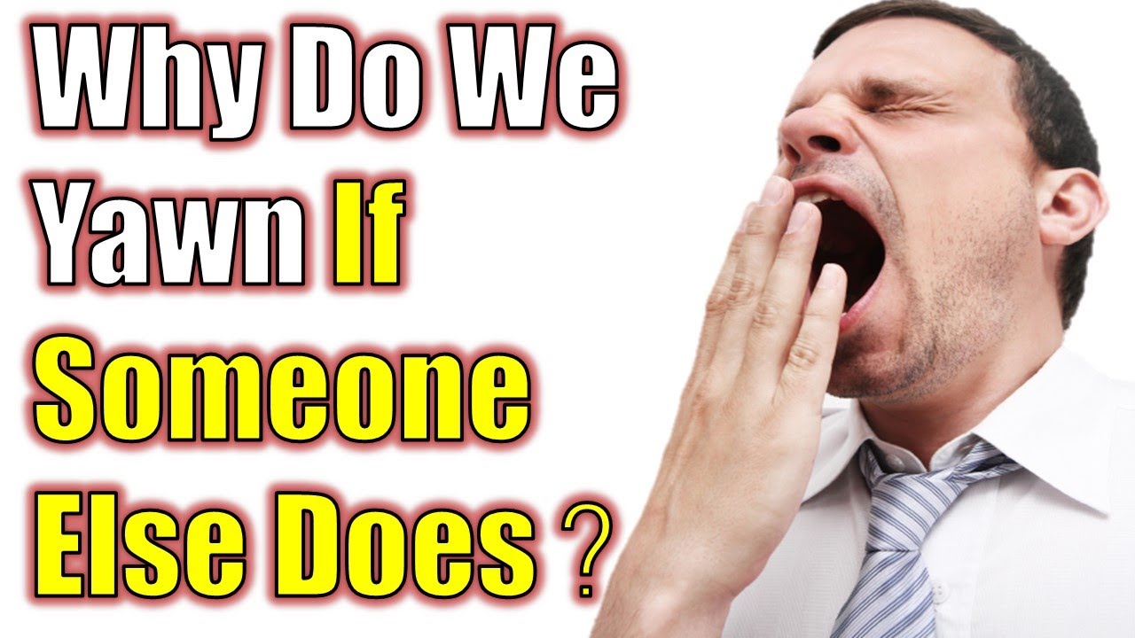 Why Do We Yawn If Someone Else Does (IS YAWNING CONTAGIOUS ? ) - YouTube