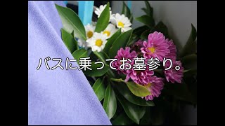 『ある日のこと。』VLOG_#5　バスに乗ってお墓参り。