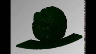 Ray-Casting Visualization of Walnut Volume Data