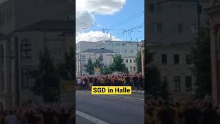 Hallescher FC vs. Dynamo Dresden corteo SGD Fans Marsch in Halle