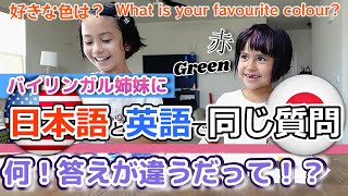 【バイリンガル検証】日英同じ質問の答えが変わる？｜Asking the Same Questions in Two Languages : Will the Answers Be the Same?