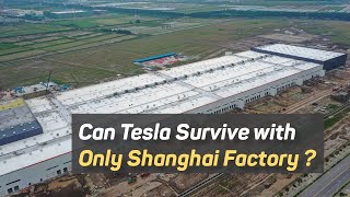 Can Tesla survive the crisis with only Shanghai Gigafactory?
