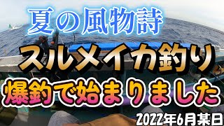 大山沖　スルメイカ　直結仕掛け　始まりました　初めてでも必ず釣れます