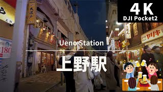 【4K 街散策】上野駅 〜 もつ焼き 大統領までの道のり   - Ueno Station Tokyo  japanwalk