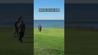 미국에서 만난 인생 골프장⛳️