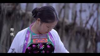 Miao ethnic group dyeing cloth - Spinning, cotton harvest