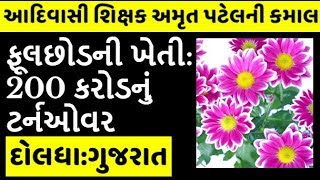 ફૂલછોડની ખેતી: 200 કરોડનું ટર્નઓવર | દોલધા:ગુજરાત | Doldha Nursery