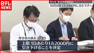 【雇用調整助成金】厚労省  10月以降1万2000円に引き下げ