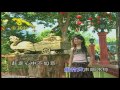 tracydinh 财神来到我家门.flv