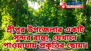 শ্রীপুর উপজেলার গজারী বনের বিতর দিয়ে সুন্দর রাস্তা #gazipur #sreepur #gnews24