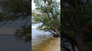 Унікальна панорама Київського моря🌊Unique panorama of the Kyiv Sea🌊