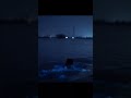 kochi kumbalangi kavaru കവര് bioluminescence കവര് പൂത്തിട്ടുണ്ട് കൊണ്ടോയി കാണിക്ക്