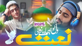 New Heart Touching Emotional Kalam |mera nabi piyara nabi duniyake dilo ka sahara nabi | sakruddin 💘