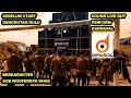 PERDANA | DIFASOL AUDIO HOREGHkan | ARJOWILANGUN MALANG