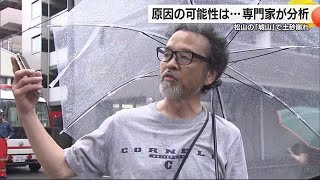 大雨の松山城「城山」でなぜ土砂崩れ…専門家の見解は「谷地形」と「表層崩壊」【愛媛】 (24/07/12 19:09)