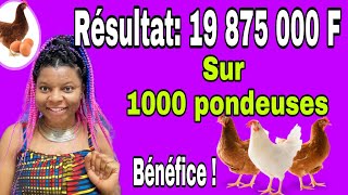 Retour sur Investissement de 1000 Poules pondeuses: Résultat 19 875 000FCFA