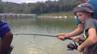 17kg Siamese Carp \u0026 more!  Hulu Langat Fishing Resort