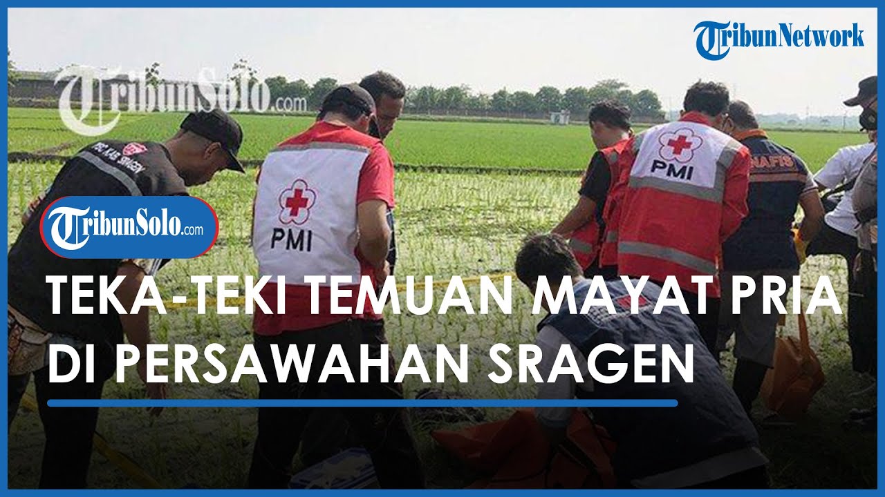 Temuan Mayat Pria Misterius Di Area Sawah Sambungmacan Sragen Gegerkan ...