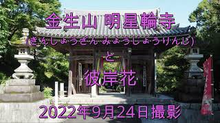 金生山明星輪寺と彼岸花(2022年9月24日撮影)