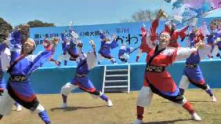 2011 川崎大師厄除けよさこい（國士無双）