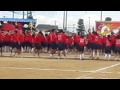 2011 9 10　新居浜東高校運動会 綱引き