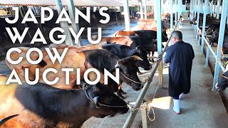 Japan's Wagyu Cow Auction