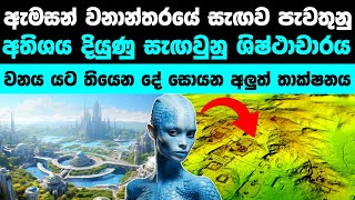 ඇමසන් වනාන්තරයේ තිබුනු අතිශය දියුණු ශිෂ්ථාචාරය කාගෙද? | A hidden civilization found in Amazon