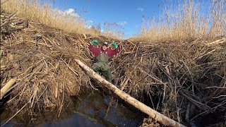 Beaver Dam Removal || It could end BADLY! Collapse!