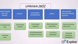 Mapa procesów