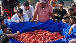 मारूति अनार मंडी जीवाणा की लाइव बिक्री 150 सर्किट टोली  आज ता 14/1/2025