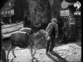 clovelly cornwall 1948