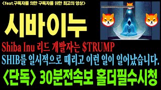 [시바이누][시바이누코인][SHIB][메타버스] 코인전망 비트코인 이더리움 도지코인