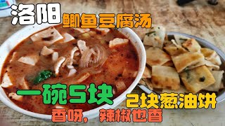 花8元吃洛阳鲫鱼豆腐汤，5元汤里有豆腐和粉条，香而不辣物美价廉