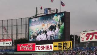 東京ヤクルト　試合直前オープニングムービー2017年後半版　東京ヤクルトvs中日　2017年7月25日