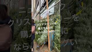 海外生活 | ニューヨーク クリスマスツリーを買う列がエグい #日常 #海外の反応 #shorts