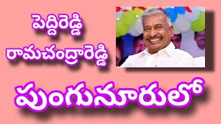 పుంగునూరులో పర్యటించిన ఎమ్మెల్యే పెద్దిరెడ్డి రామచంద్రారెడ్డి.