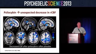 The Beckley-Imperial Psychedelic Research Program - David Nutt
