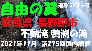 【進撃のブッチ】【不動滝 鴨渕の滝】【群馬県 長野原市】【第275回国内調査202111】【1080ｐ60HD】【Japan waterfall]】