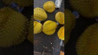 Durian - Jackfruit - 榴莲-菠萝蜜 @DoDoGlobalFood