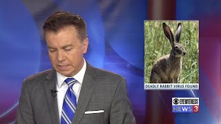 Deadly rabbit virus found in Idaho