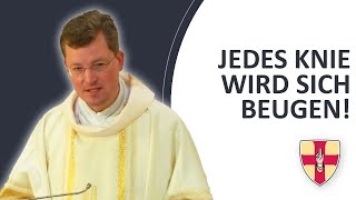 Jedes Knie wird sich beugen! | Pater Johannes Paul Chavanne