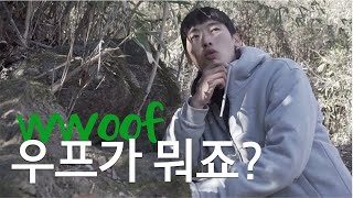 우프가 뭐죠? / 5만 원으로 한달살기 하는 법?