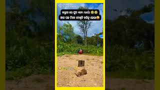 reels ଭିଡ଼ିଓ | ଦେଖନ୍ତୁ ହସି ଗଡିଯିବେ |