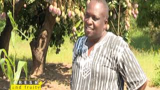 20 plus years in mango farming and he still smiles to the bank - Part 1