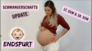 SCHWANGERSCHAFTSUPDATE 👶🏼 l 37. \u0026 38. SSW l WANN KOMMT ER ?! l HelloCathi