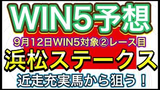 WIN5予想 9月12日WIN5対象②レース目 浜松ステークス❗️【枠順・脚質・騎手・種牡馬】データ分析❗️WIN5候補✨検討馬・消去馬