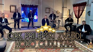 ORK PRILEPSKI ZVEZDI HORO GUDLI KAFA (COVER NASER STRUJA) LIVE 2024